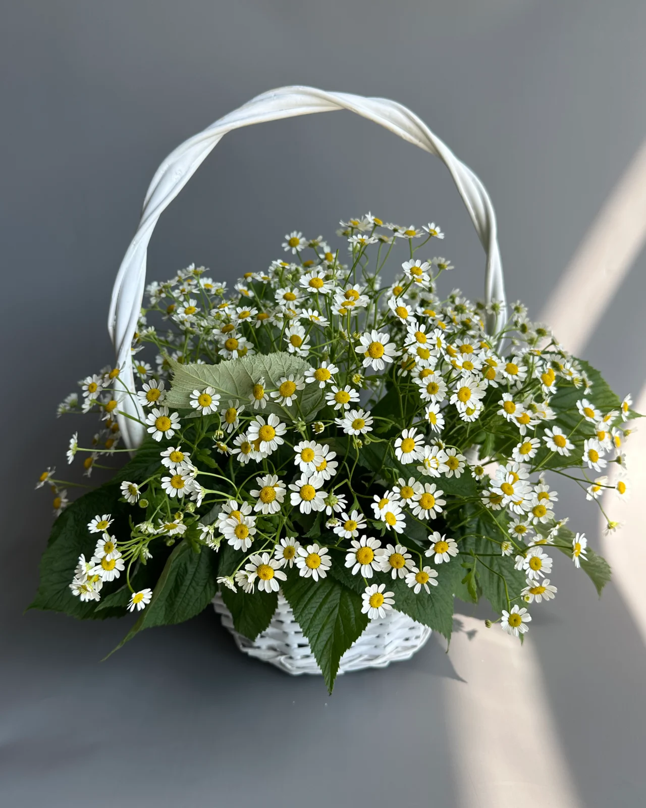 Корзина с ромашками М